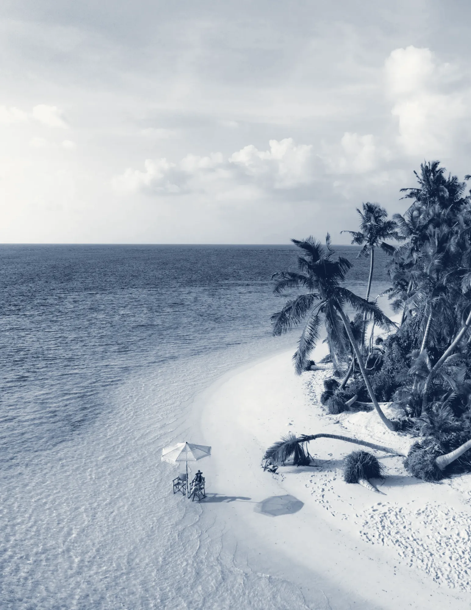 A quiet beach lined with palms